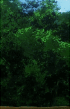 Ryouta Sakamoto
