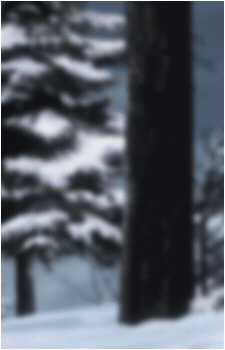 Image 44