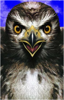 Tobias's image