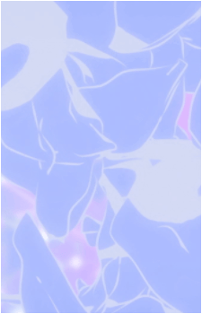 Image 2 Image 2