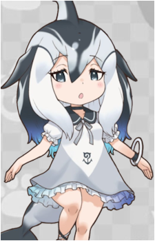 Pacific White-Sided Dolphin