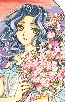 Nadeshiko Kinomoto