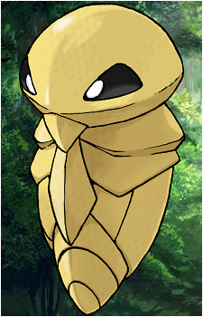 Weedle