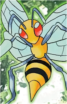 Weedle