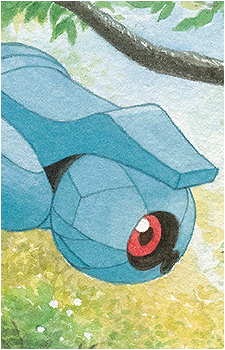Image 30