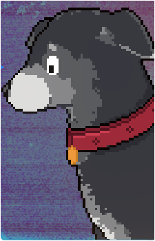 Hachi {MD}'s image