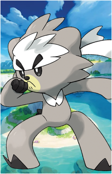 Kubfu's image