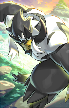 Image 39