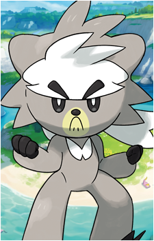 Kubfu's image