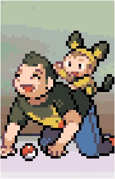 Poké Fan