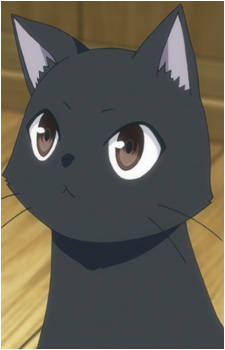 Chito {FW}