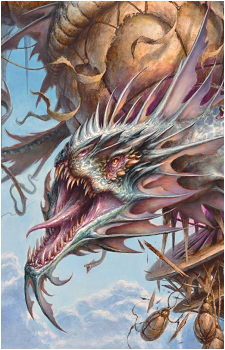 Xyris's image