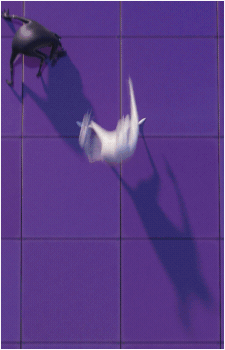 Image 5 Image 5