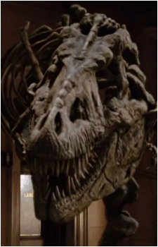 Rexy's image