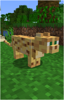 Ocelot's image