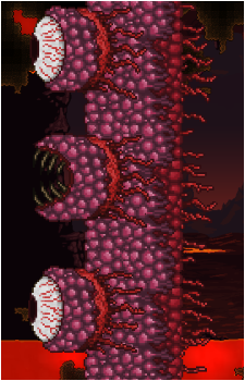 Wall of Flesh's image