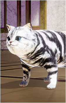 Jeane (Cat)'s image