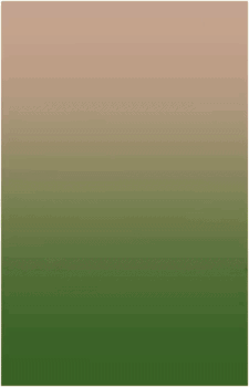 Image 77