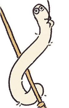 Image 13 of Brushbuddy