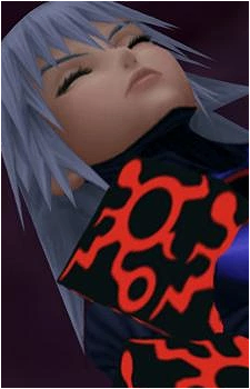 Data-Riku
