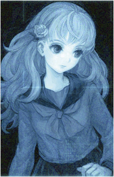 Image 7 Image 7