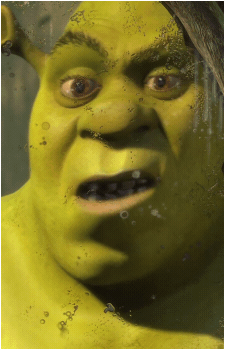 Image 33 of Shrek
