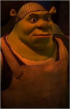 Image 36
