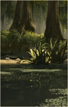 Image 34 of Shrek