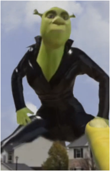 Image 30 of Shrek