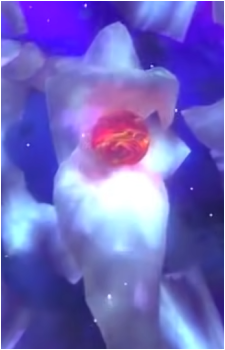 Image 9