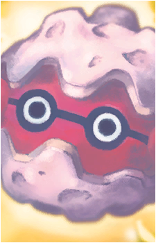 Image 27
