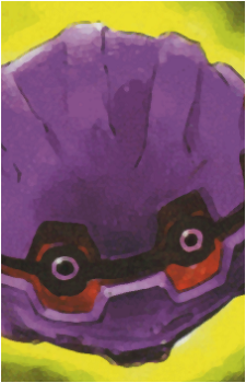 Image 31