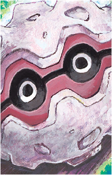 Image 24