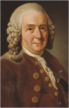 Carl Linnaeus's image