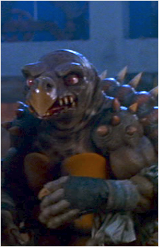 Tokka's image