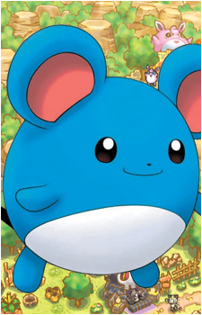 Marill {PMD}