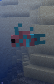 Tropical Fish's image