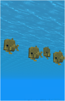 Tropical Fish