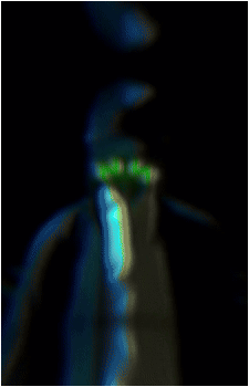 Image 41