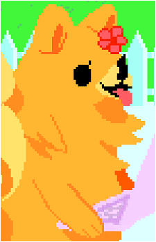 Pom's image