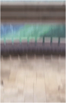 Image 37