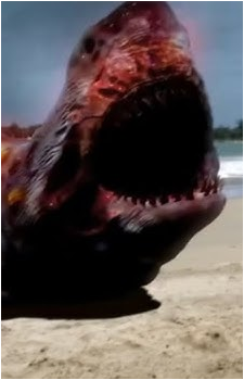 Atomic Shark's image