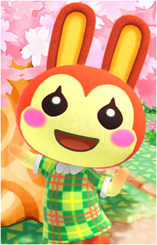 Bunnie