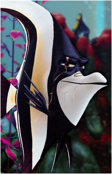 Gill's image