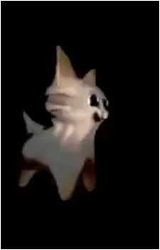 Image 20
