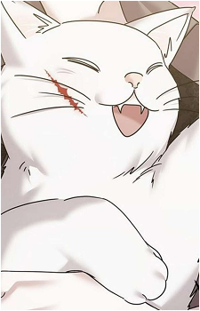Kitty {AMAR}