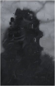 Image 35