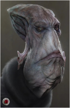 Vice-President Aslik's image