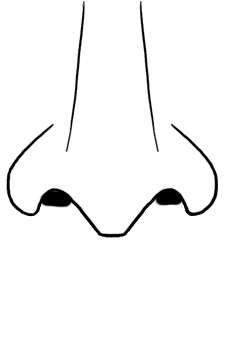 Mr. Schnozz's image