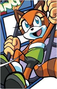 Marine the Raccoon